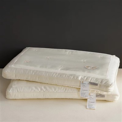 Silk Filled Pillow